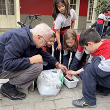 Siembra del Trigo 3° Básicos