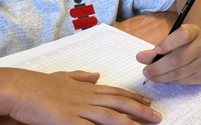 Protocolos Pruebas Atrasadas 2024