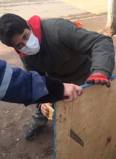 Trabajos de Invierno 2019 - IIº Medios