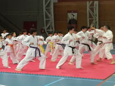 Cambio Cinturón Karate