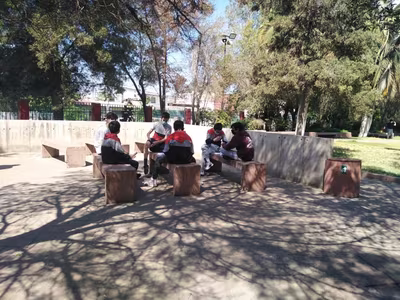 Campamento de la Amistad 8° Básico B