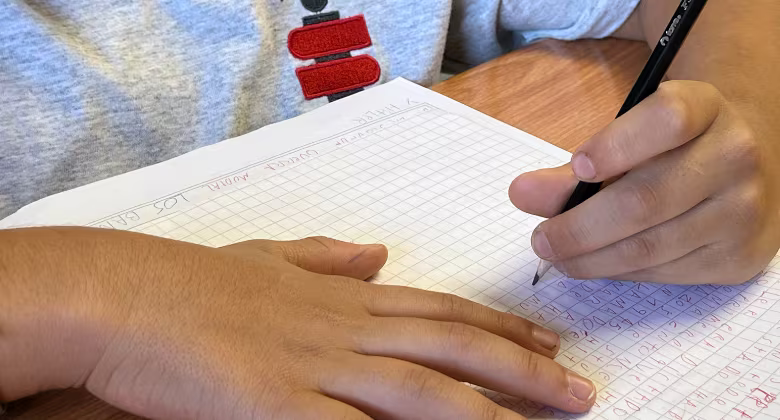 Protocolos Pruebas Atrasadas 2024