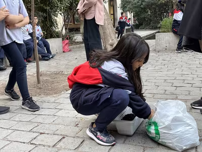 Siembra del Trigo 3° Básicos