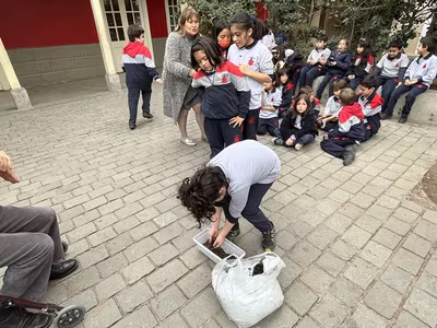 Siembra del Trigo 3° Básicos