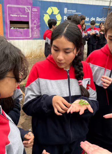 Experiencia Ecológica I°Medios