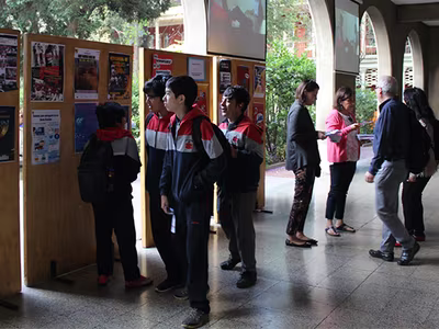 Convivencia Escolar, Volando en V