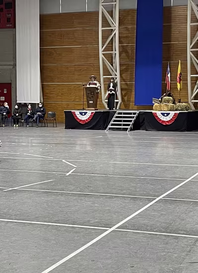 Danzas Folclóricas 1° y 2° Básico