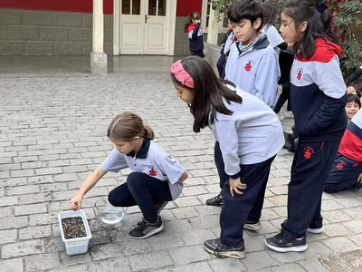 Siembra del Trigo 3° Básicos