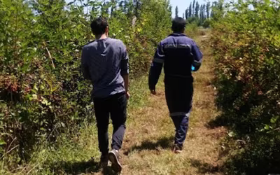 Información Trabajos de Verano 2025