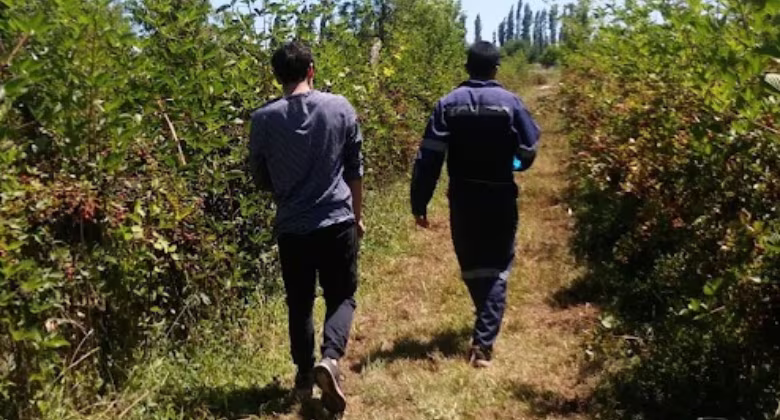 Información Trabajos de Verano 2025