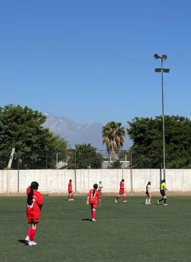 Cartelera Deportiva 12 de noviembre 2024
