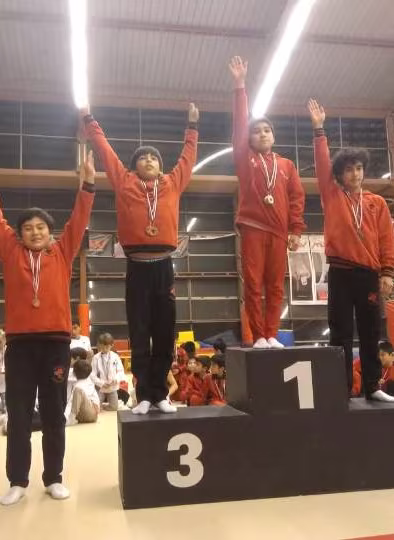 Copa Manquehue de Gimnasia