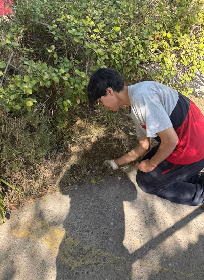 Apostolados de Semana Santa 2026