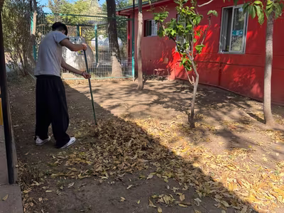 Apostolados de Semana Santa 2026
