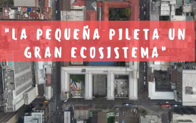Proyecto "La pequeña Pileta, un gran Ecosistema"