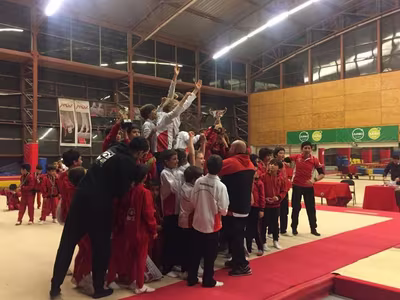 Copa Manquehue de Gimnasia