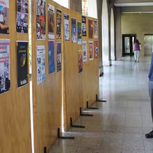 Convivencia Escolar, Volando en V