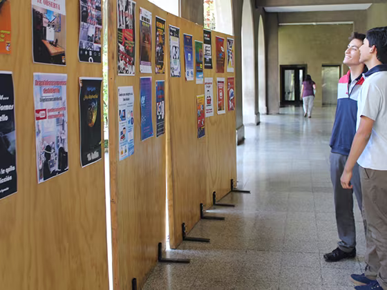 Convivencia Escolar, Volando en V