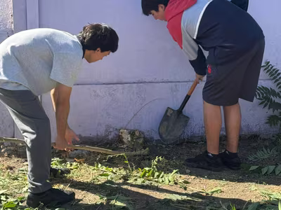 Apostolados de Semana Santa 2026