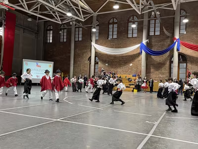 Danzas Folclóricas 1° y 2° Básico