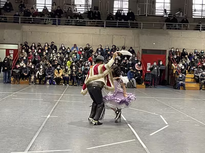 Danzas Folclóricas 1° y 2° Básico