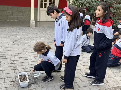 Siembra del Trigo 3° Básicos