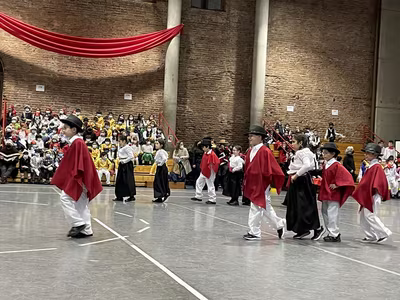 Danzas Folclóricas 1° y 2° Básico