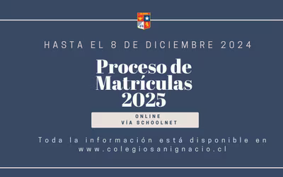 Proceso de Matrícula y Colegiatura 2025