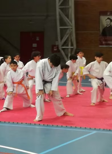 Cambio Cinturón Karate