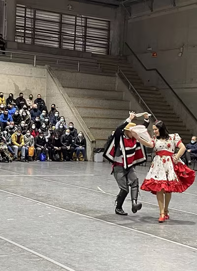 Danzas Folclóricas 1° y 2° Básico