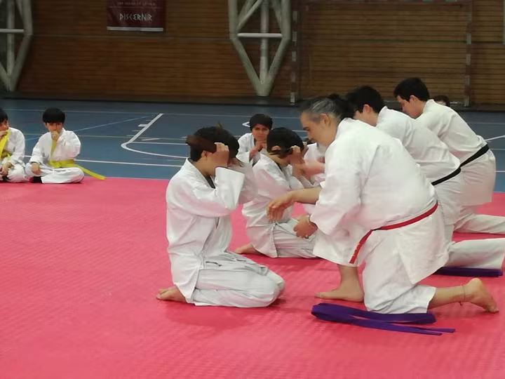 Cambio Cinturón Karate