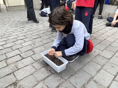 Siembra del Trigo 3° Básicos