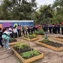 Experiencia Ecológica I°Medios
