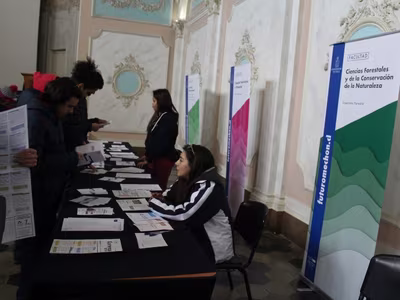 Feria Universidad de Chile