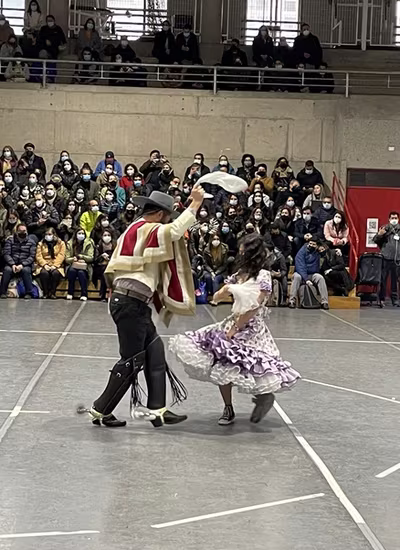 Danzas Folclóricas 1° y 2° Básico