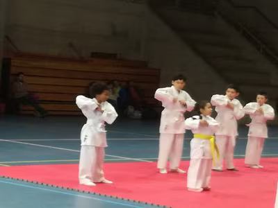 Cambio Cinturón Karate