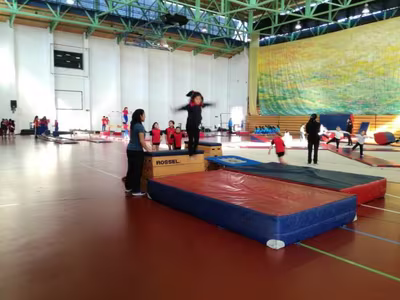Selección de Gimnasia Damas