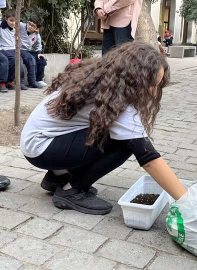 Siembra del Trigo 3° Básicos