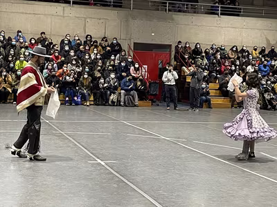 Danzas Folclóricas 1° y 2° Básico