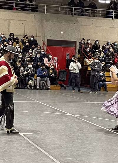 Danzas Folclóricas 1° y 2° Básico