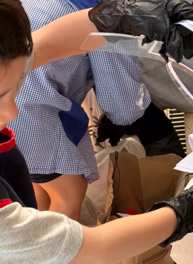 ¡Feria de la Ciencia y la Naturaleza!