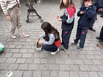 Siembra del Trigo 3° Básicos