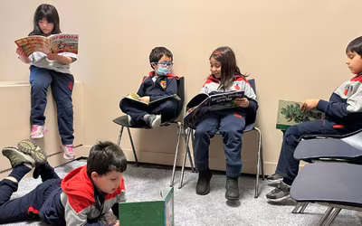 Dominio Lector - 1° y 2° Básico