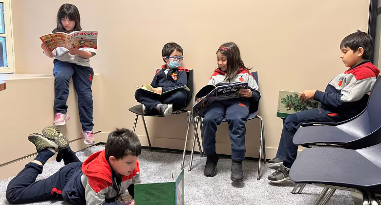 Dominio Lector - 1° y 2° Básico