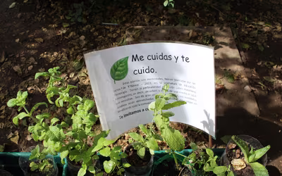 Proyecto Maceteros Autorregantes - 5° Básicos