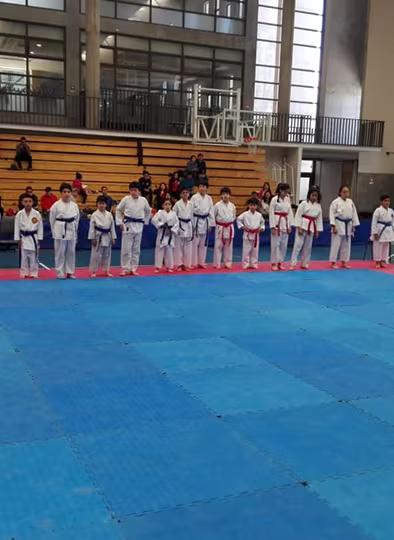 Torneo Federación de Karate