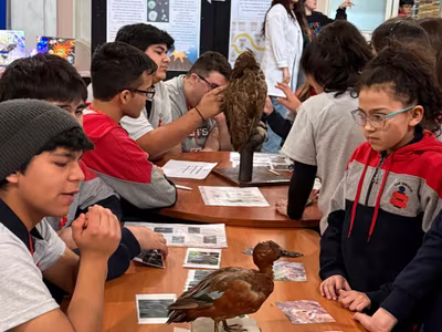 Feria de la Ciencia y la Tecnología