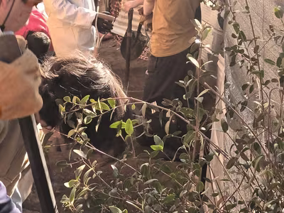 Trabajos de Invierno IIº Medio A - Lo Barnechea