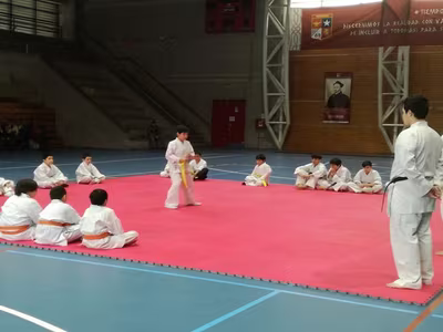 Cambio Cinturón Karate