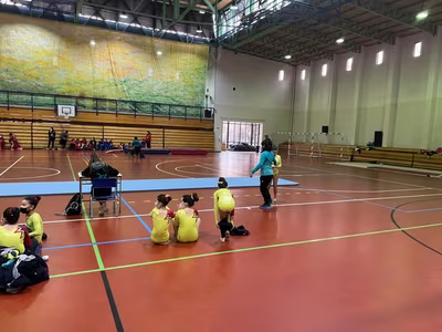 Liga Escolar de Gimnasia Artística (LEGA)